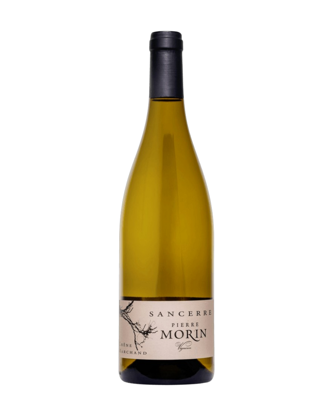 Domaine Pierre Morin Sancerre Blanc Chêne Marchand