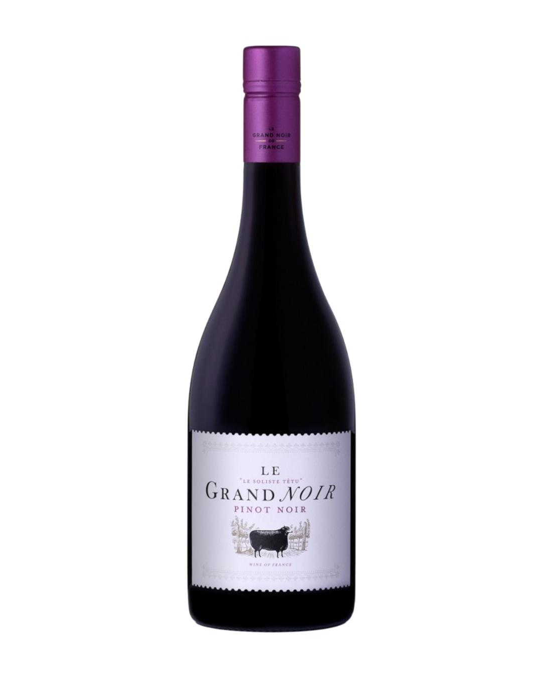 Grand Noir IGP Pays d’Oc Pinot Noir