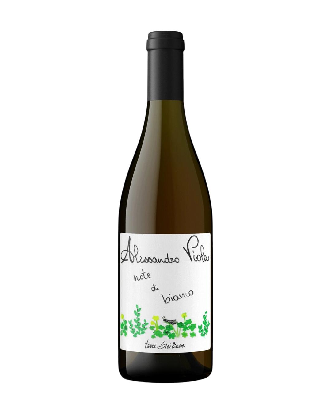 Alessandro Viola IGP Terre Siciliane Note di Bianco