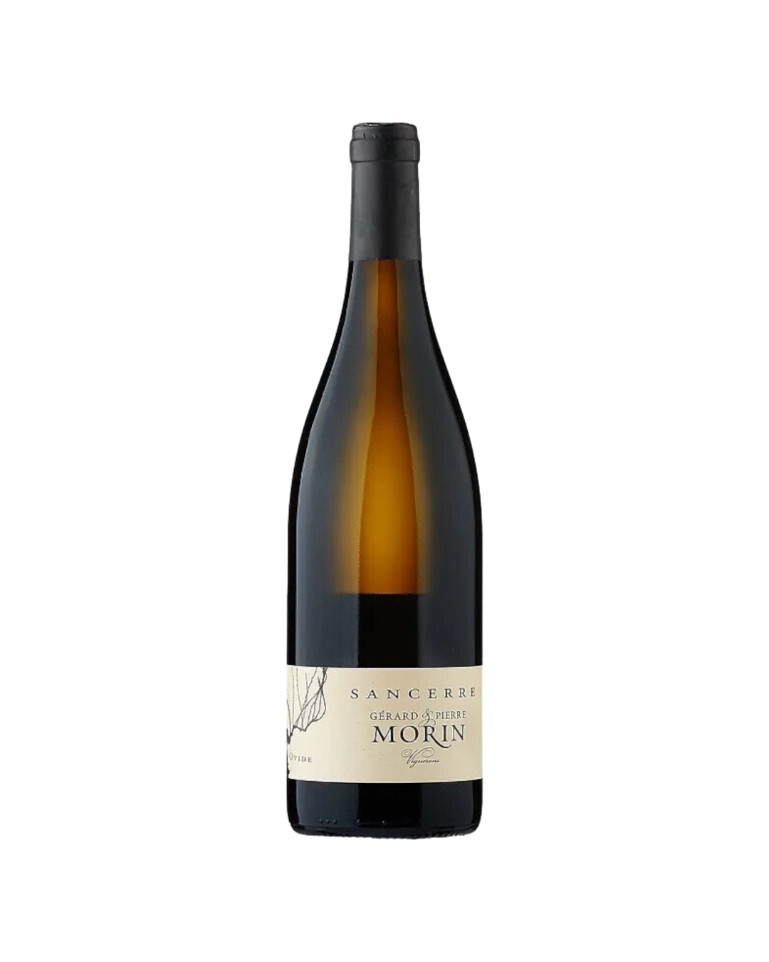 Domaine Pierre Morin Sancerre Blanc Ovide