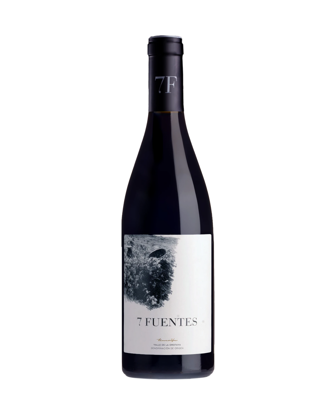 Suertes del Marques Valle de la Orotava 7 Fuentes