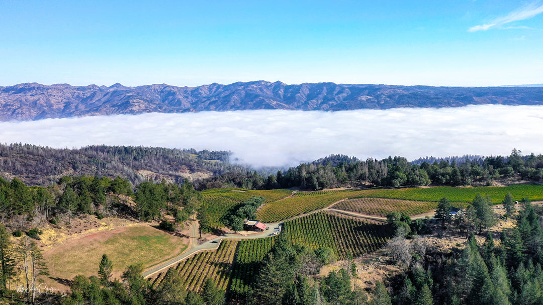 High on Authenticity: Napa Valley's Smith-Madrone