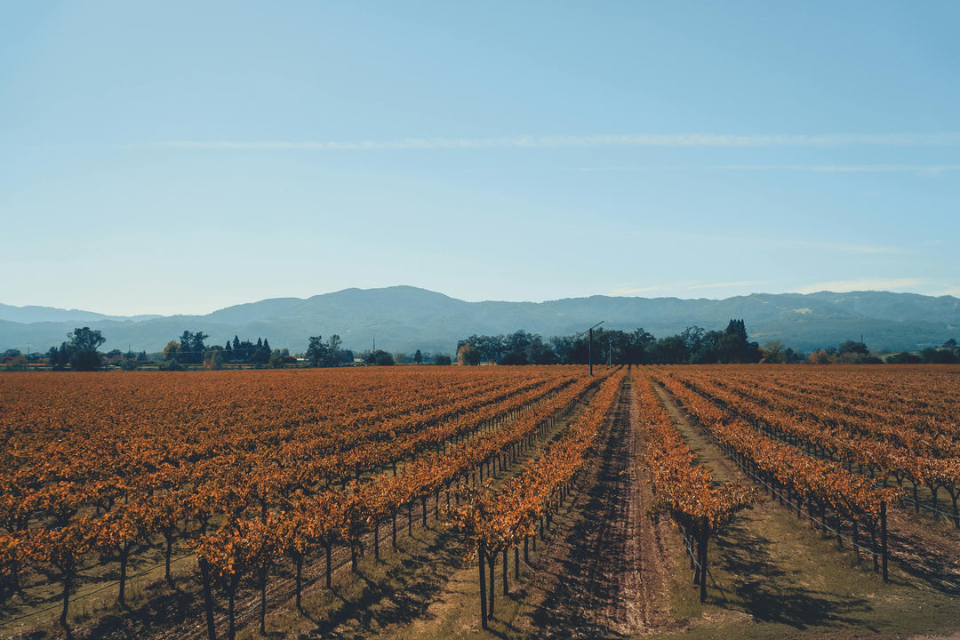Why Californian Trousseau Should Be On Your Radar