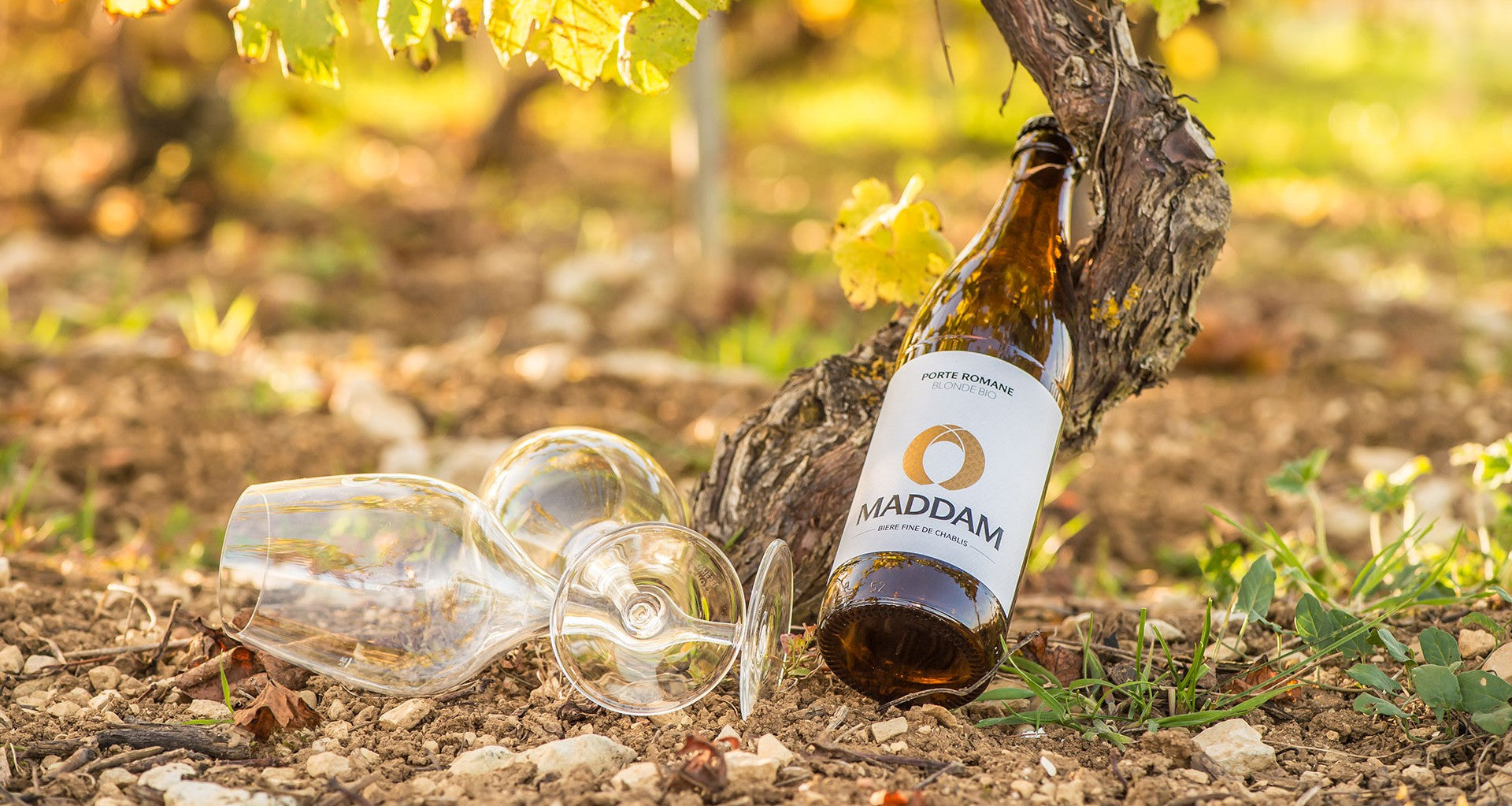 Maddam Biere Fine de Chablis